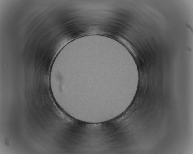 X0000091720810200709210959