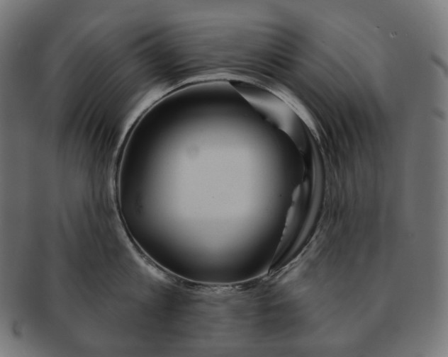 X0000091720813200709210959