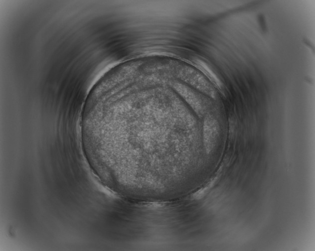 X0000091720814200709210959