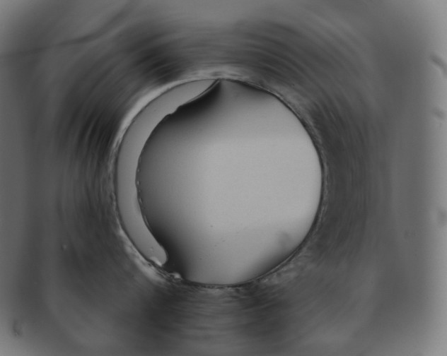 X0000091720816200709210959