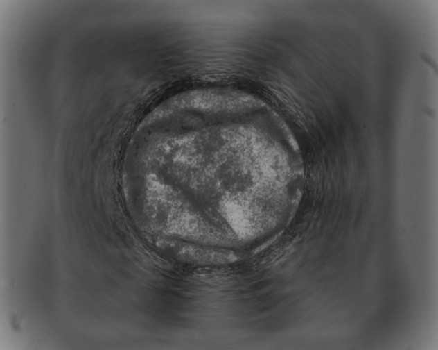 X0000091720817200709210959