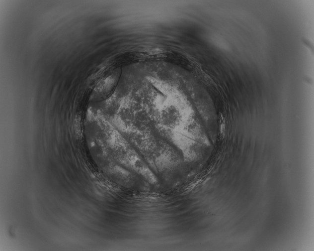 X0000091720819200709210959