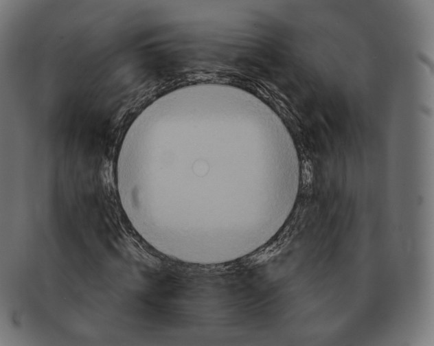 X0000091720820200709210959