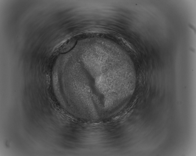 X0000091720821200709210959