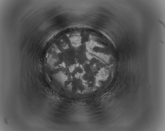 X0000091720823200709210959