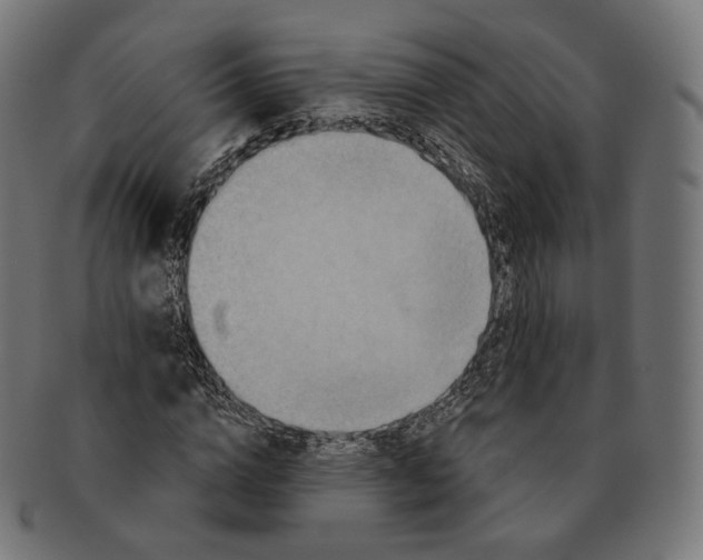 X0000091720824200709210959