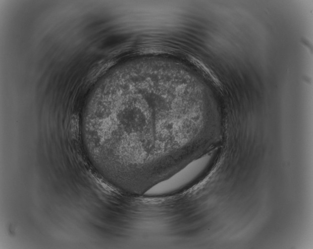 X0000091720825200709210959