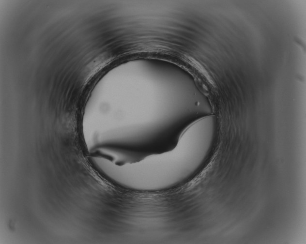 X0000091720826200709210959