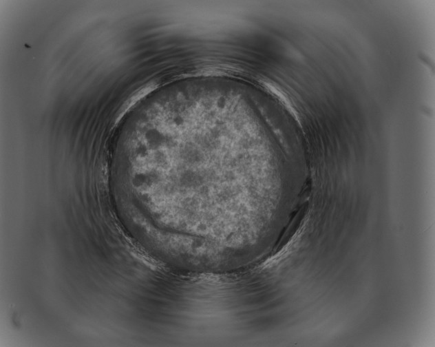 X0000091720827200709210959