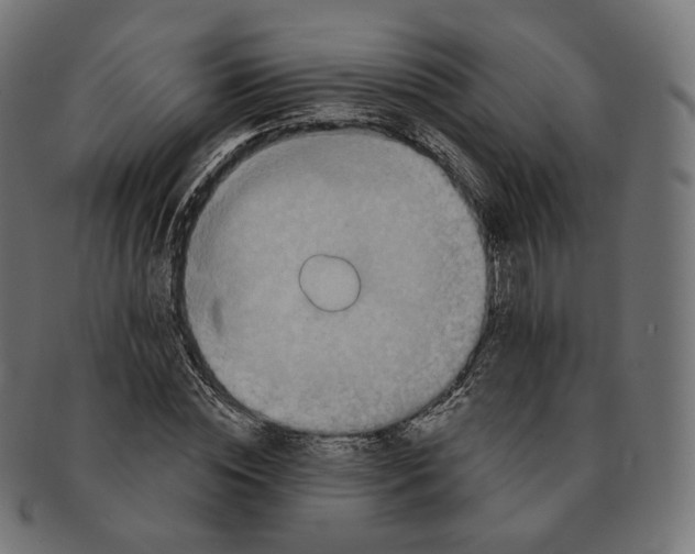 X0000091720828200709210959