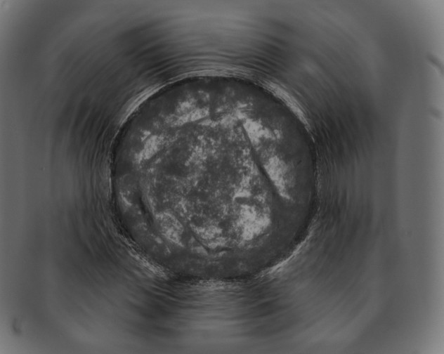 X0000091720829200709210959