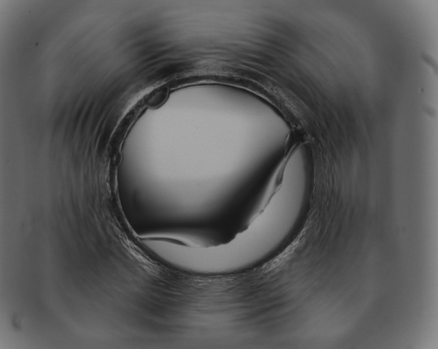 X0000091720830200709210959