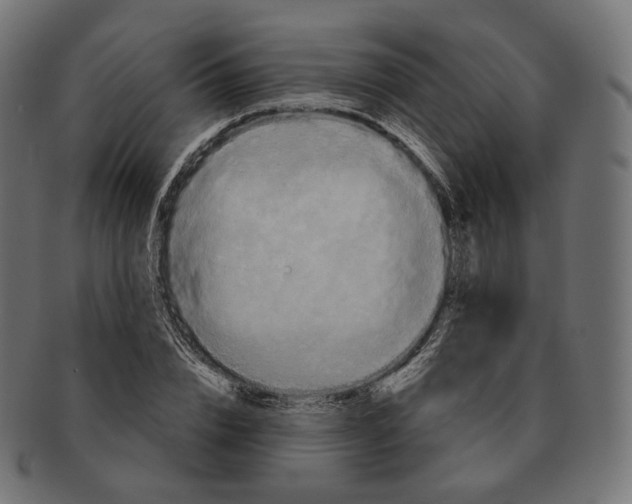 X0000091720832200709210959