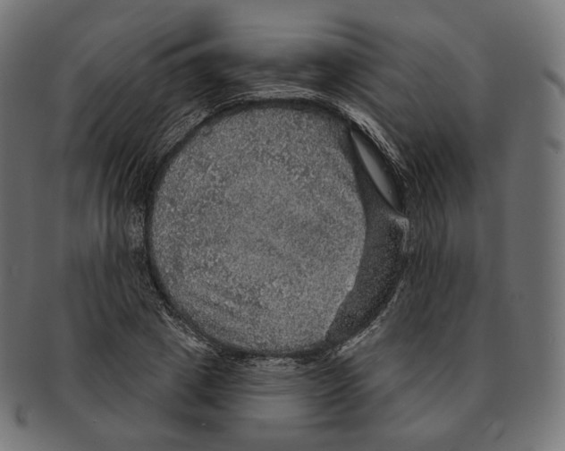 X0000091720833200709210959