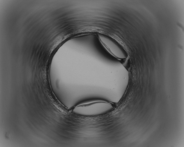 X0000091720834200709210959