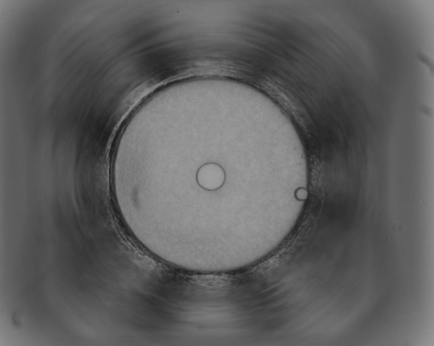 X0000091720836200709210959