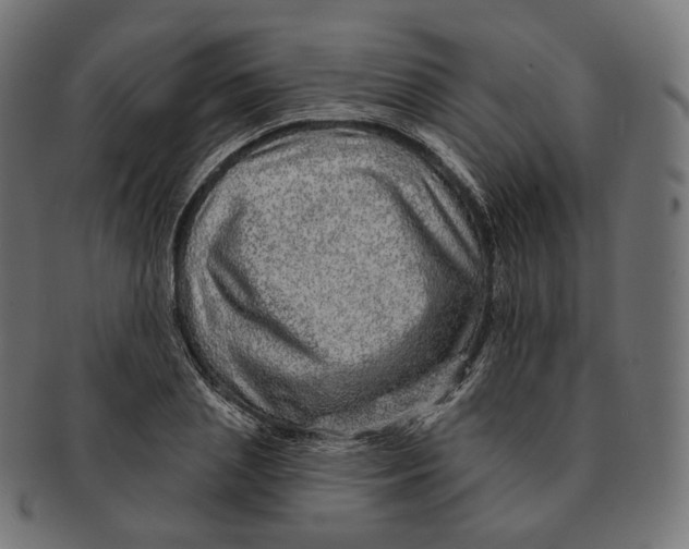 X0000091720837200709210959