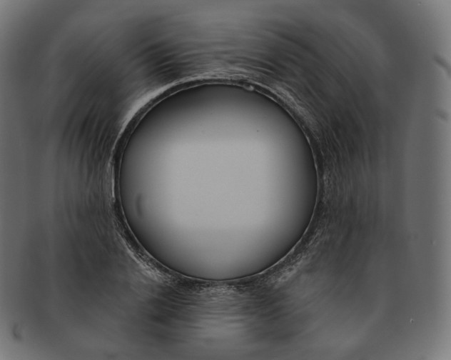 X0000091720838200709210959