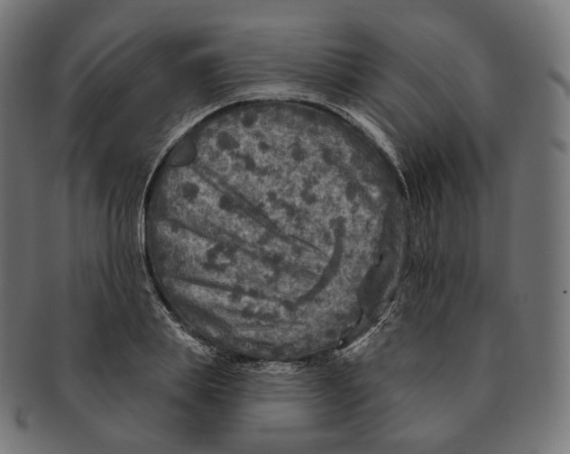 X0000091720839200709210959