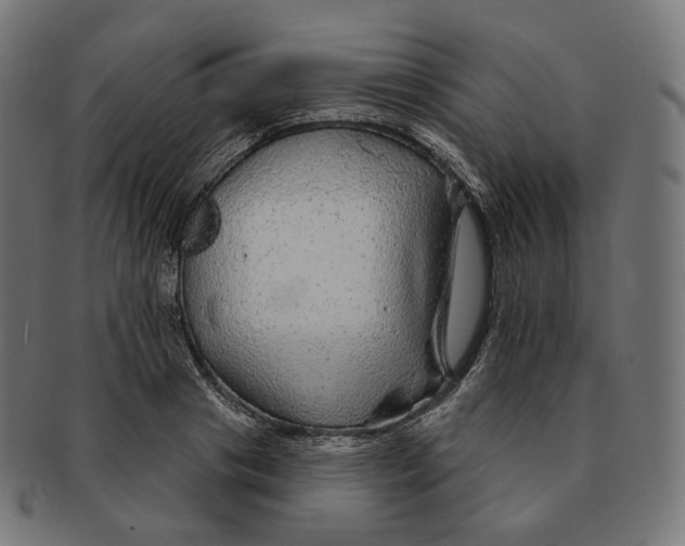 X0000091720841200709210959