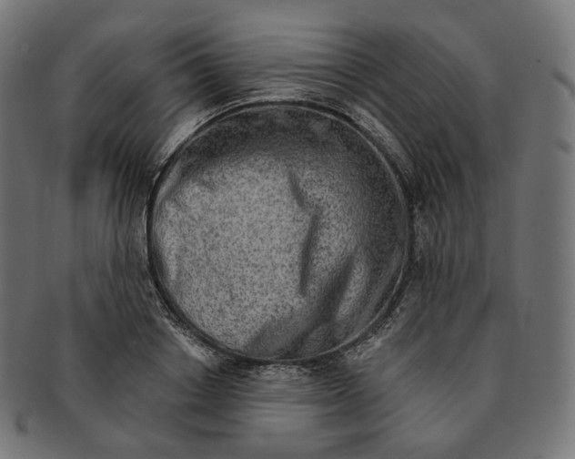 X0000091720842200709210959