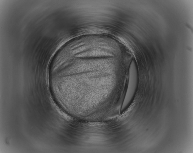 X0000091720843200709210959