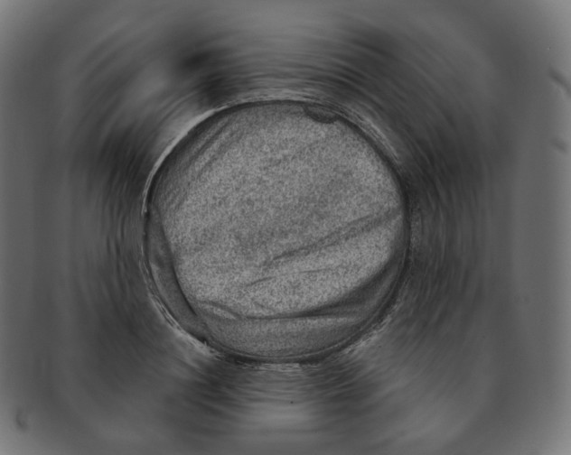 X0000091720844200709210959