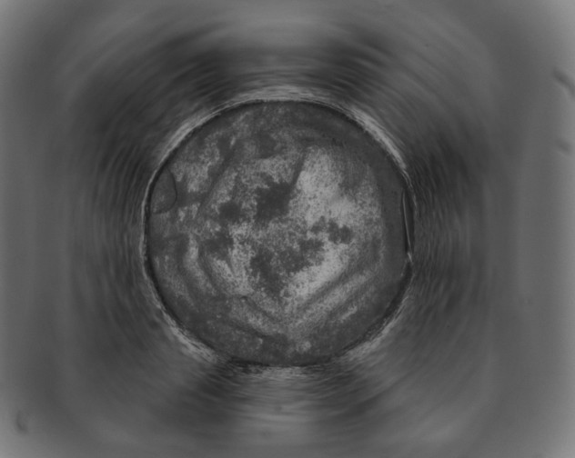 X0000091720845200709210959