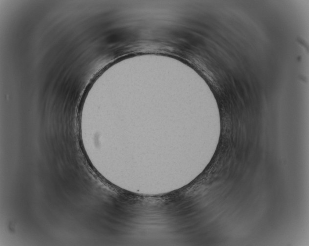 X0000091720848200709210959