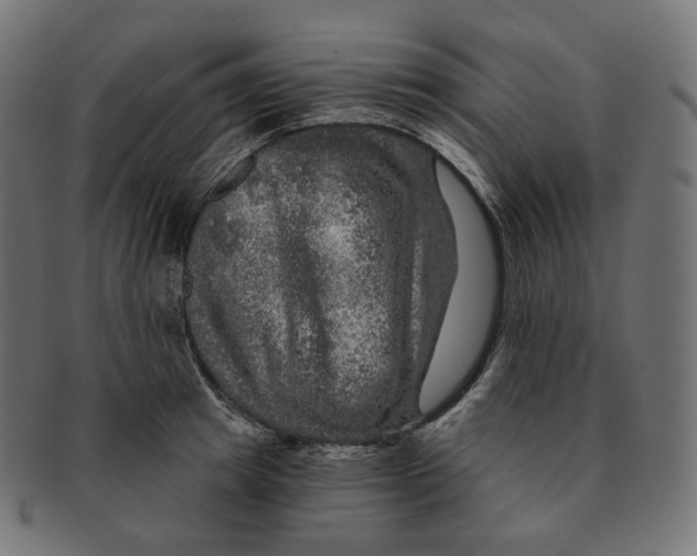 X0000091720849200709210959