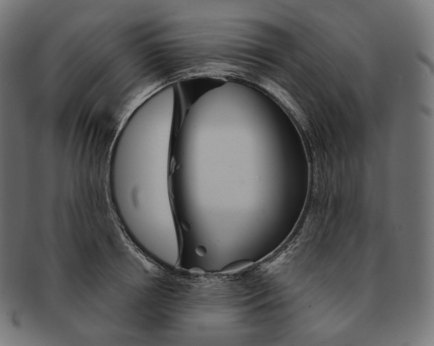 X0000091720850200709210959