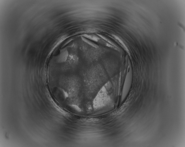 X0000091720851200709210959