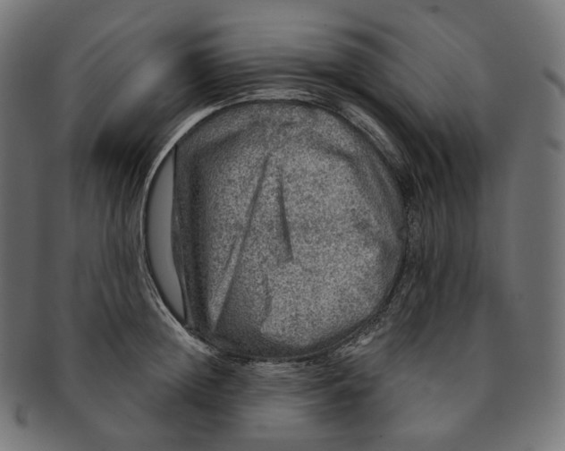 X0000091720852200709210959