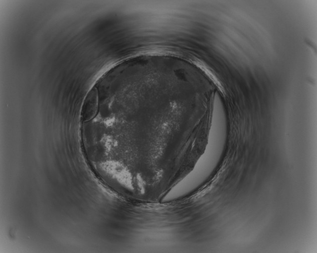 X0000091720853200709210959