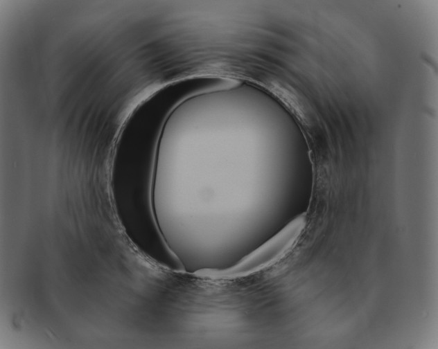 X0000091720854200709210959