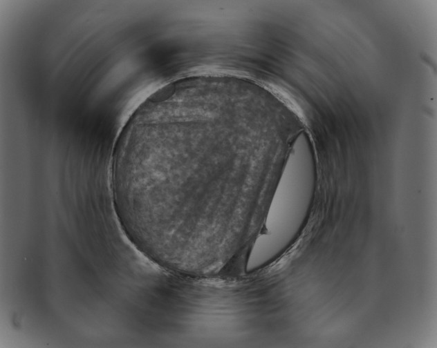 X0000091720855200709210959