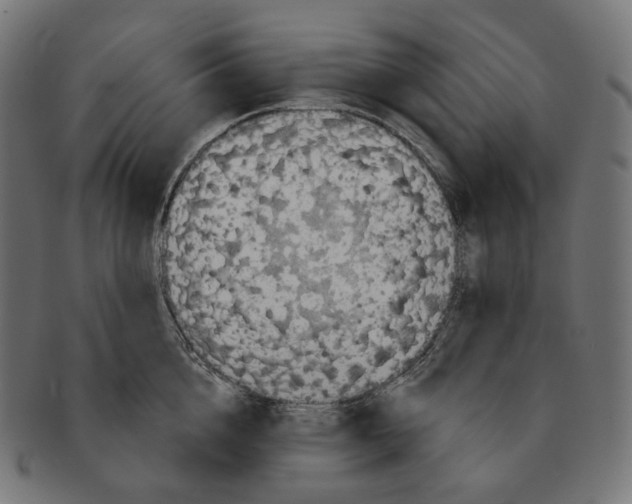 X0000091720856200709210959