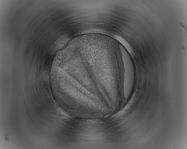 X0000091720857200709210959