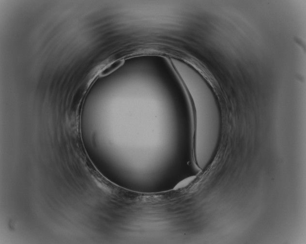 X0000091720858200709210959