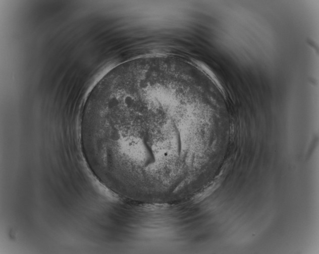 X0000091720859200709210959