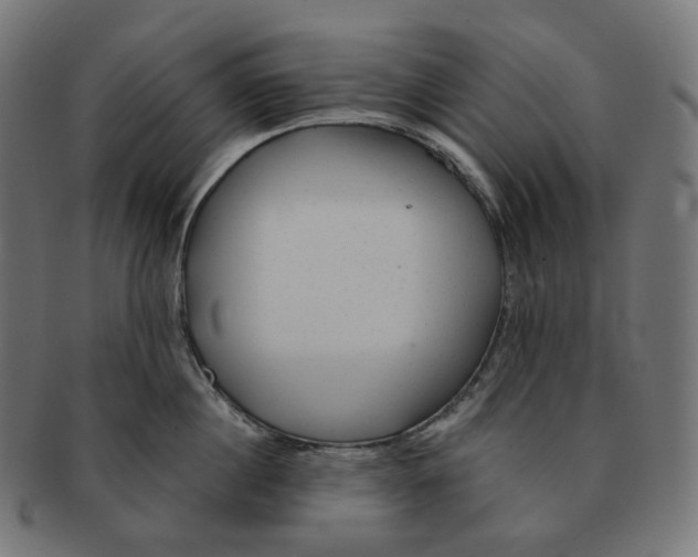 X0000091720860200709210959