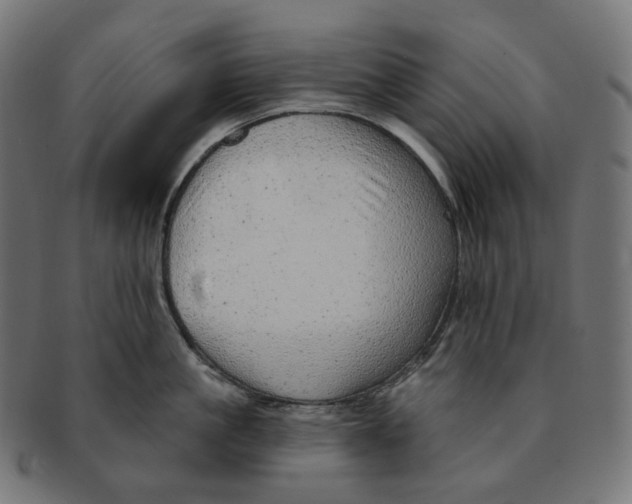 X0000091720861200709210959