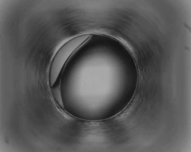 X0000091720862200709210959