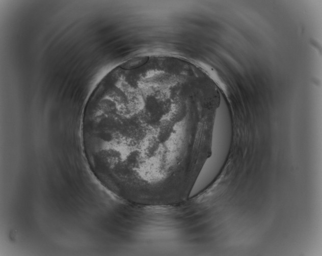 X0000091720863200709210959