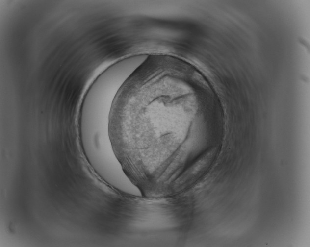 X0000091720864200709210959