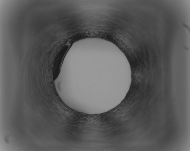 X0000091720865200709210959