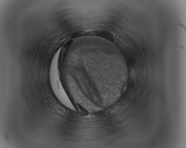 X0000091720868200709210959