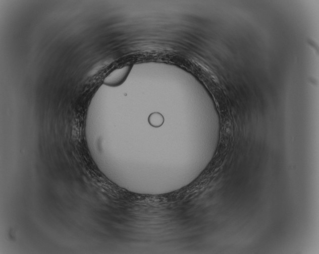 X0000091720869200709210959