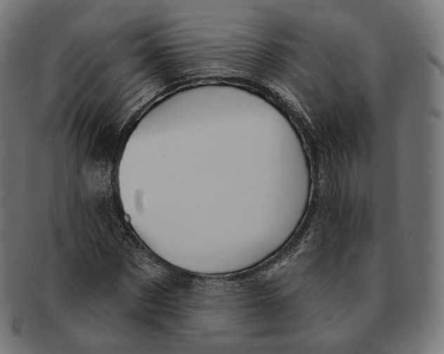 X0000091720873200709210959