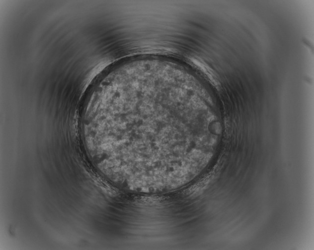 X0000091720875200709210959